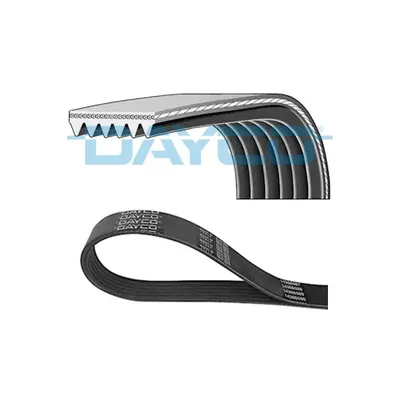 DAYCO 6PK1069