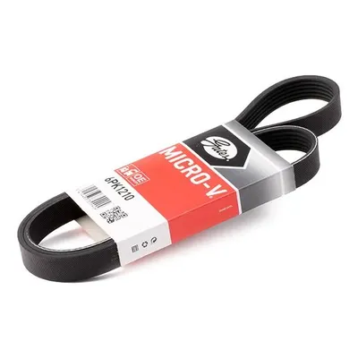 GATES 6PK1210