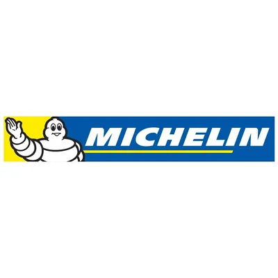MICHELIN 4PK898