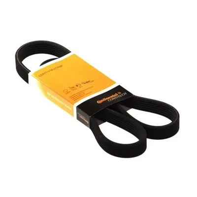 CONTITECH 6PK1130