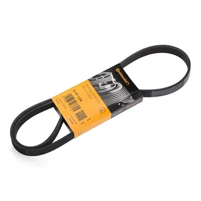 CONTITECH 6PK1256