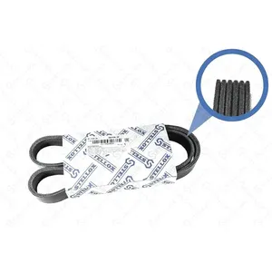 Ремень поликлиновой 6PK1030 Stellox 06-01030-SX